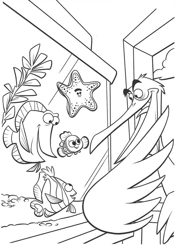 Dibujo de Nigel En Buscando a Nemo para Colorear y Imprimir