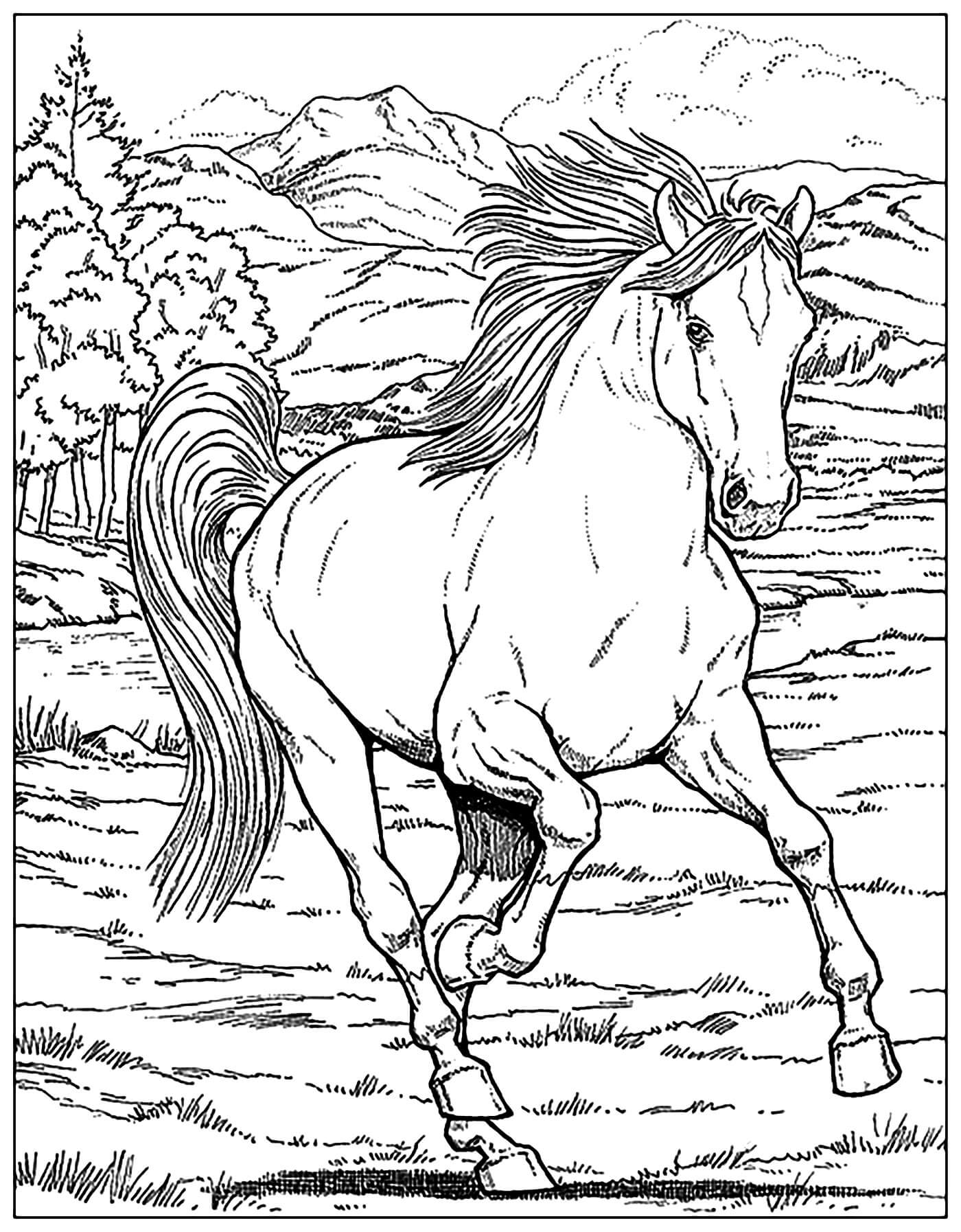 Dibujo de Caballo Corriendo Adulto para Colorear y Imprimir