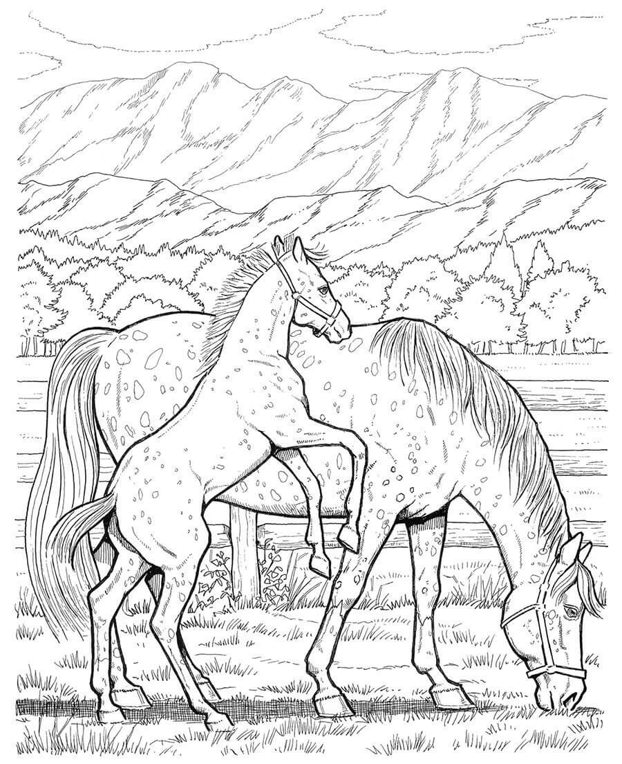 Dibujo de Caballo de Madre e Hijo Comiendo Hierba para Colorear y Imprimir