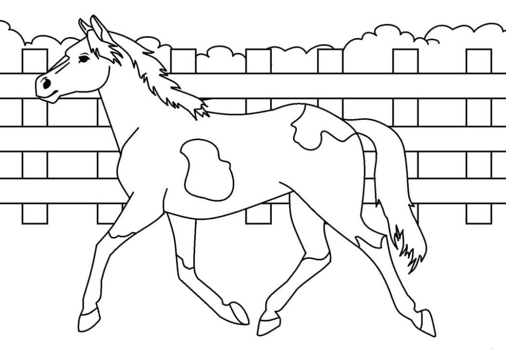Dibujo de Caballo para Imprimir para Colorear y Imprimir