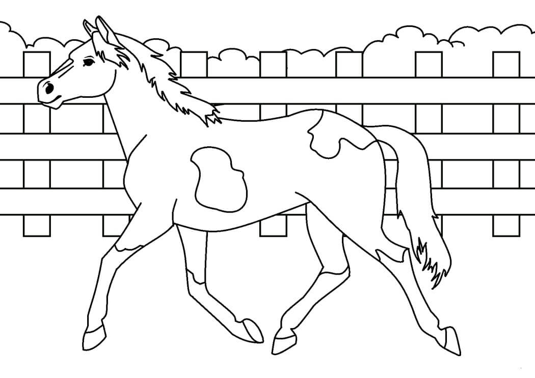 Dibujo de Caballo para Imprimir para Colorear y Imprimir