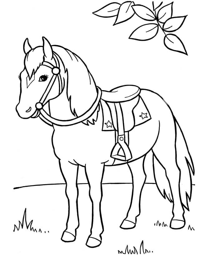 Dibujo de Caballo Parado En La Hierba para Colorear y Imprimir