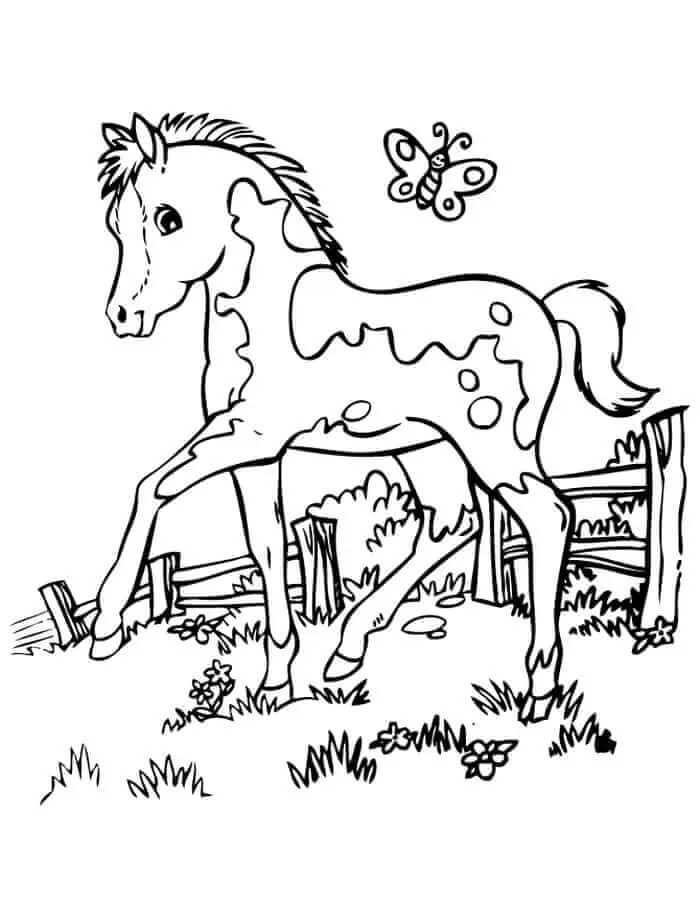 Dibujo de Caballo y Mariposa para Colorear y Imprimir