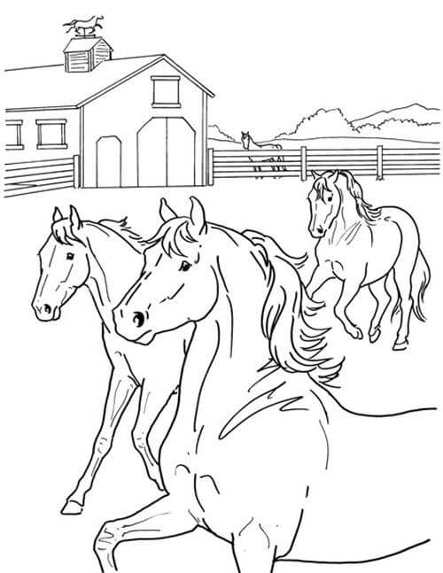 Dibujo de Cuatro Caballos En El Establo para Colorear y Imprimir