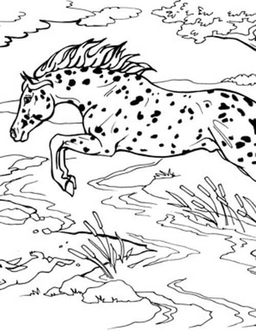 Dibujo de Saltos de Caballos Legales para Colorear y Imprimir