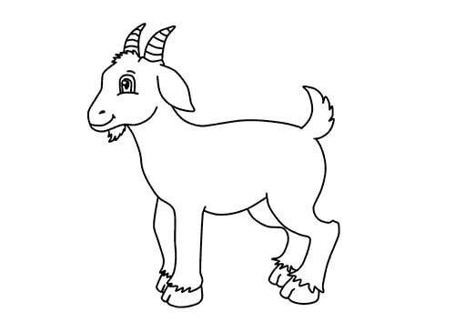dibujo buena cabra para colorear