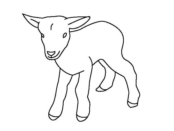 dibujo cabra basica para colorear