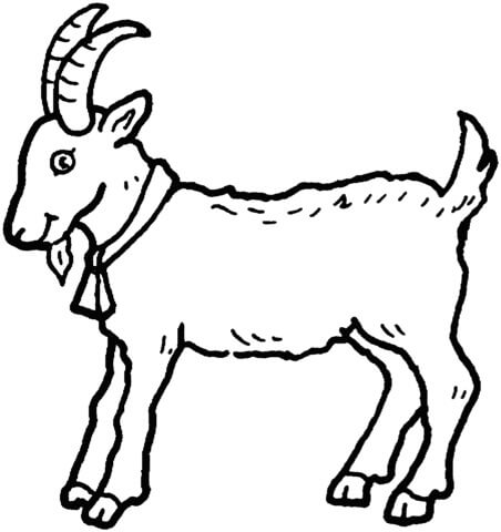 dibujo cabra bebe para colorear
