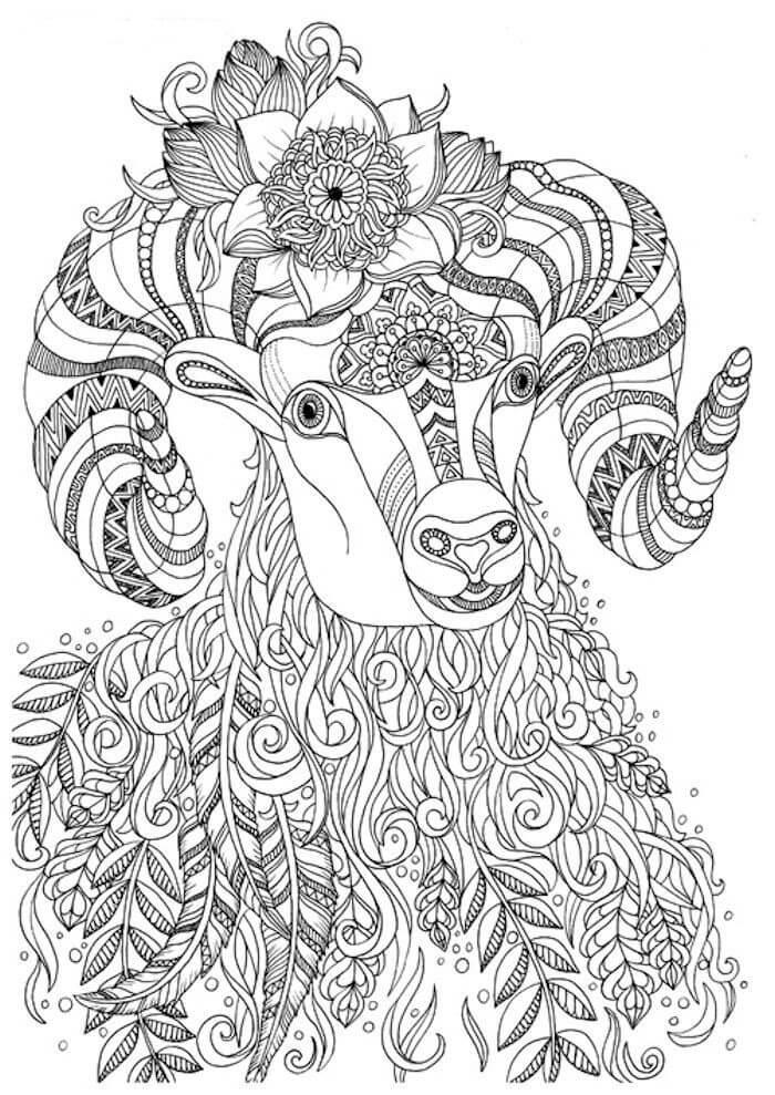 dibujo cabra duro para colorear
