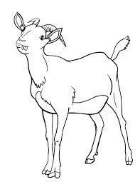 dibujo cabra facil para colorear