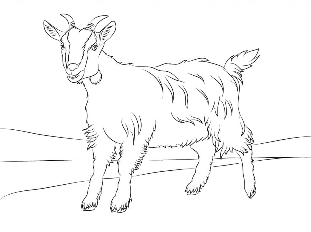 Dibujo de Cabra Simples para Colorear y Imprimir