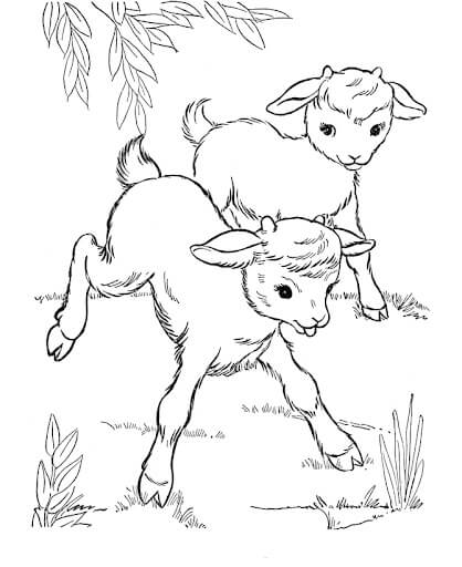 Dibujo de dos Cabra Chibi para Colorear y Imprimir