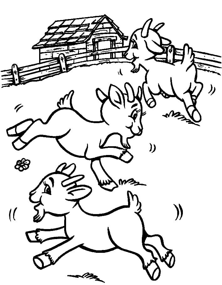 Dibujo de Tres Cabras Persiguiéndose para Colorear y Imprimir