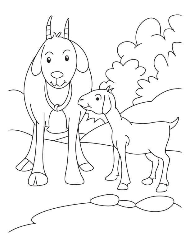 dibujo madre e hijo de cabra para colorear