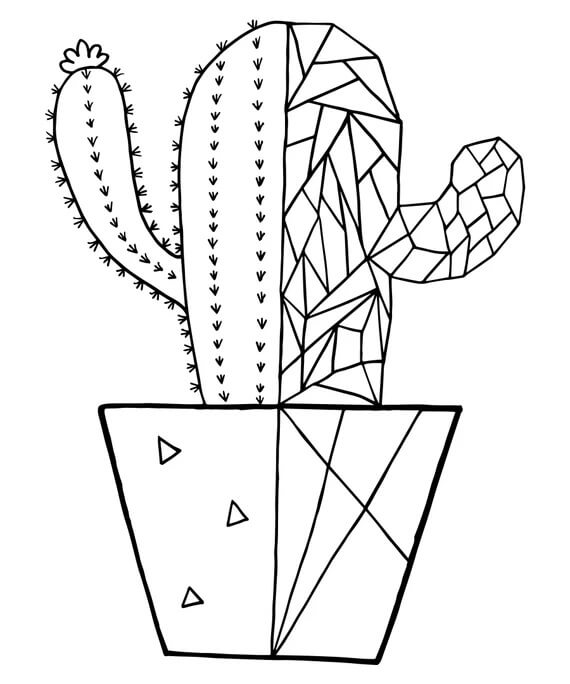 Dibujo de Bonitocactus para Colorear y Imprimir