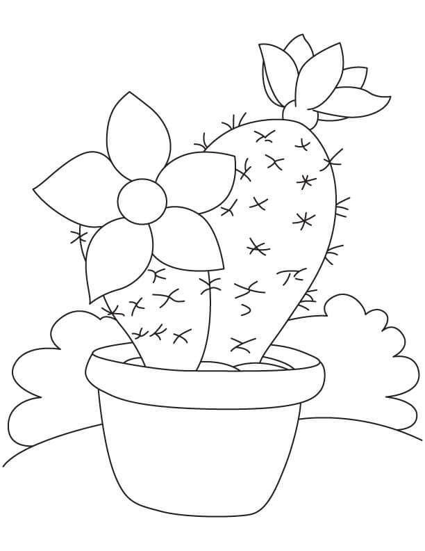 Dibujo de Buen Cactus En Maceta para Colorear y Imprimir