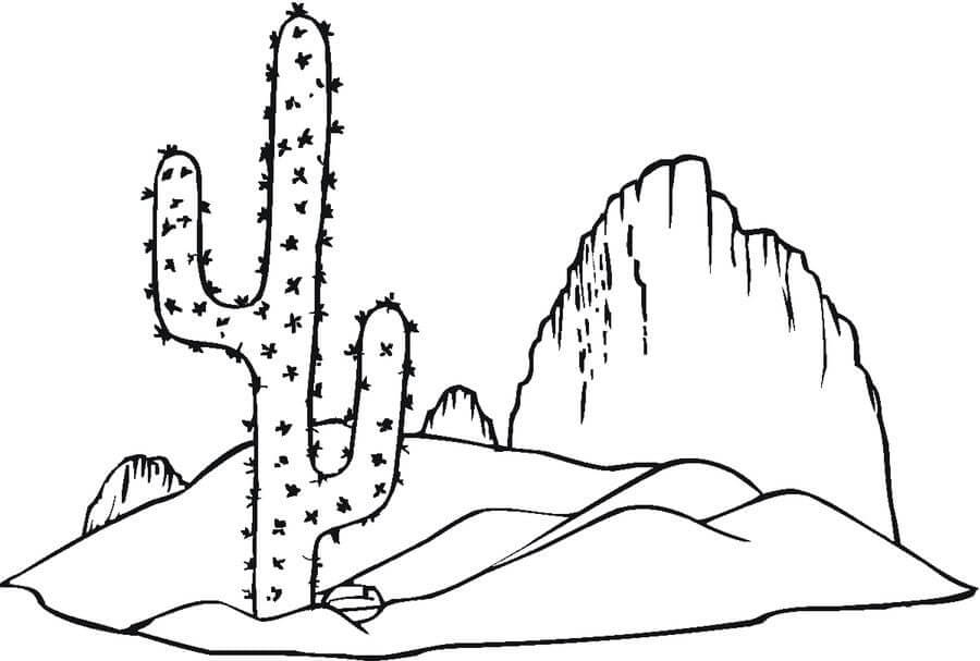 Dibujo de Buen Cactus para Colorear y Imprimir