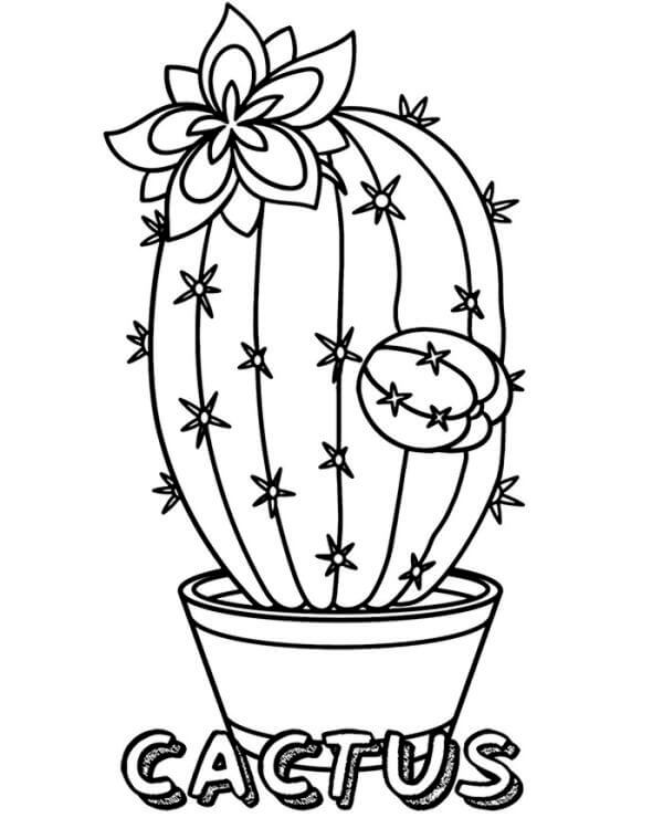 Dibujo de Cactus Basíco para Colorear y Imprimir