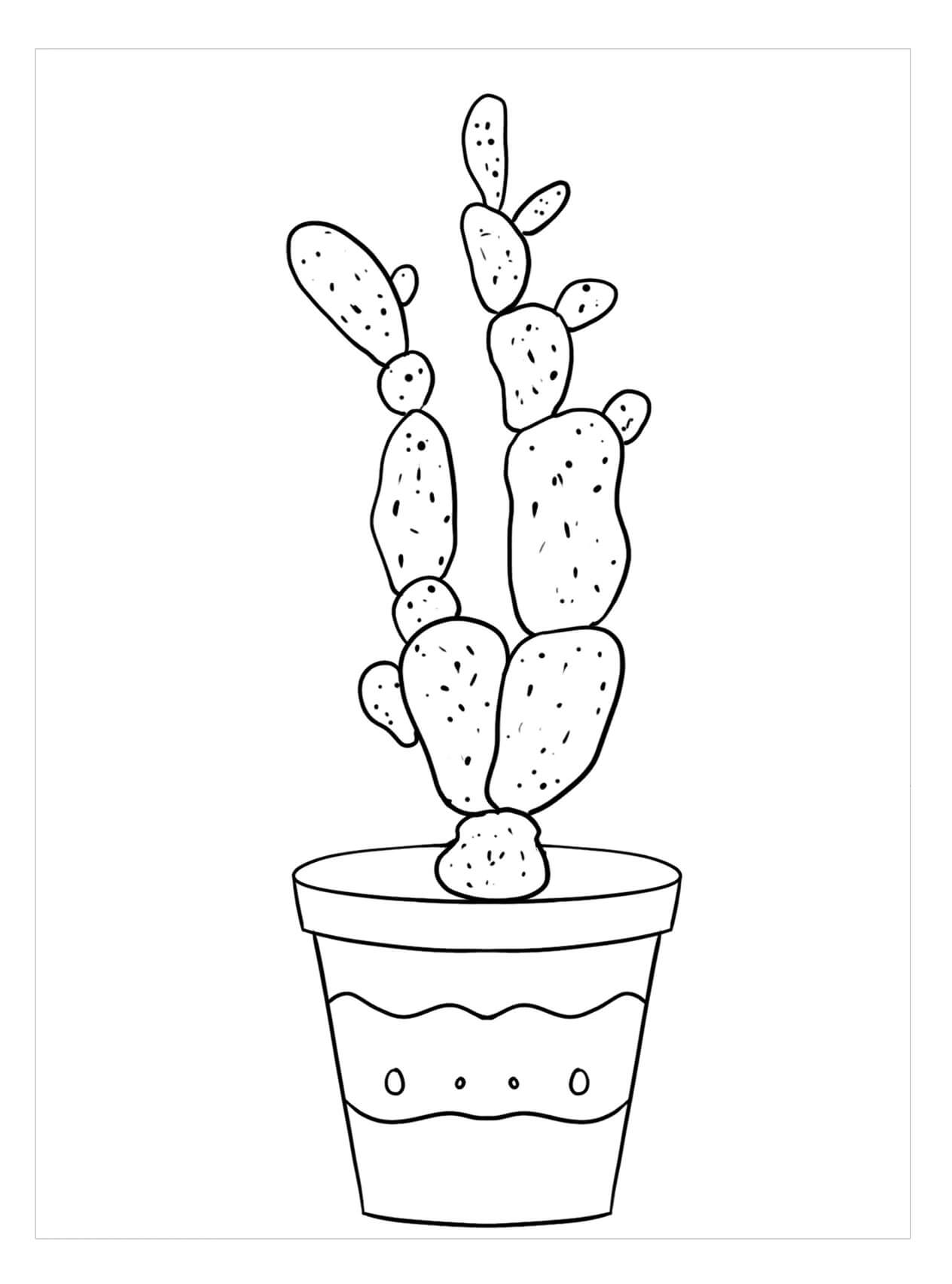 Dibujo de Cactus de Dedos de Dama para Colorear y Imprimir