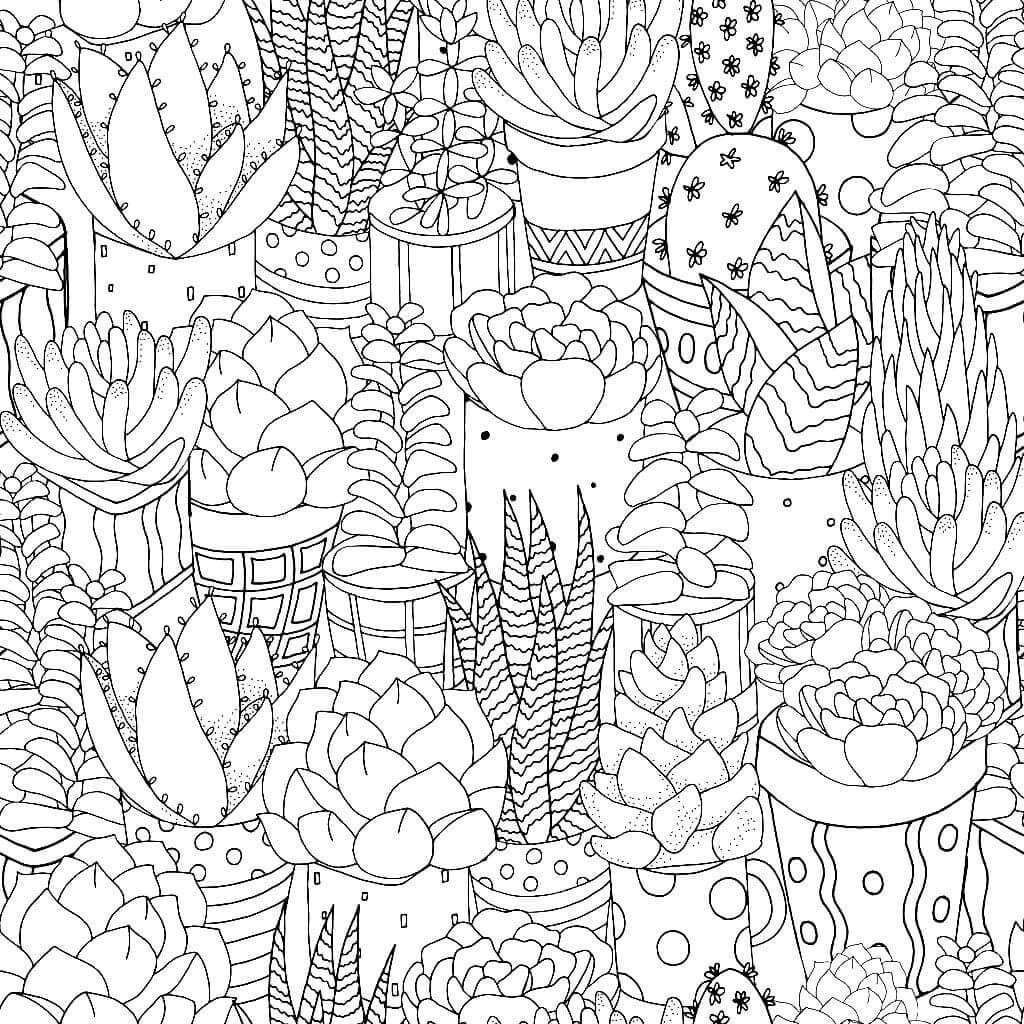Dibujo de Cactus Es para Adultos para Colorear y Imprimir
