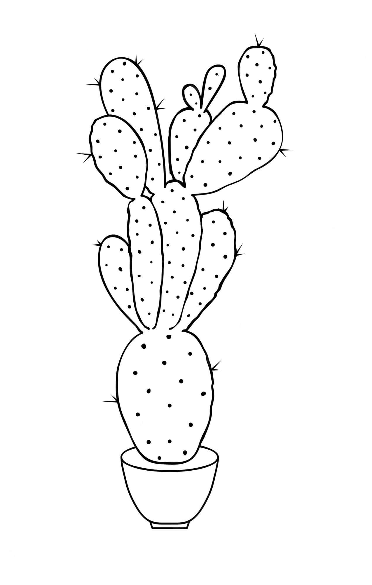 Dibujo de Cactus Gratis para Colorear y Imprimir