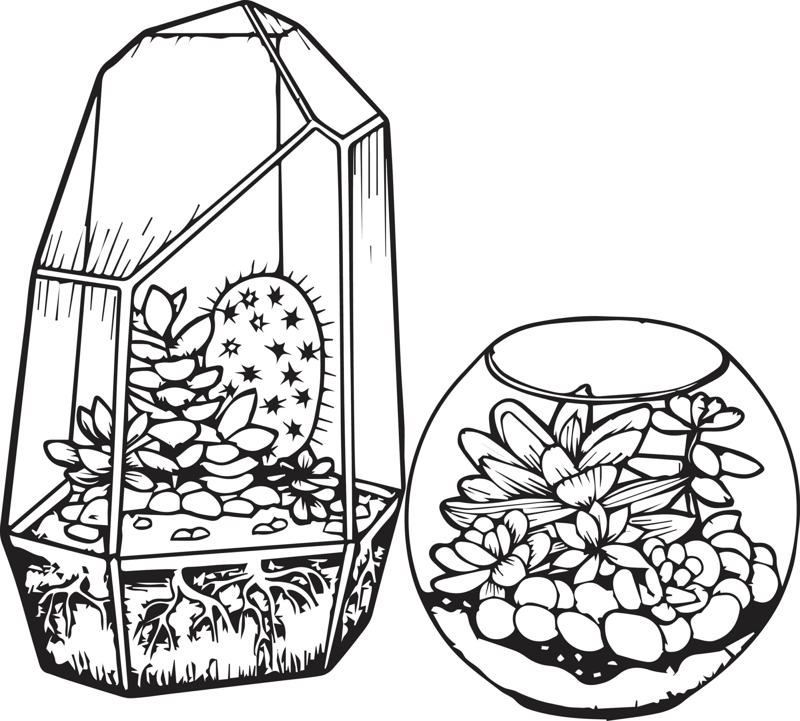 Dibujo de Cactus y Suculentas para Colorear y Imprimir
