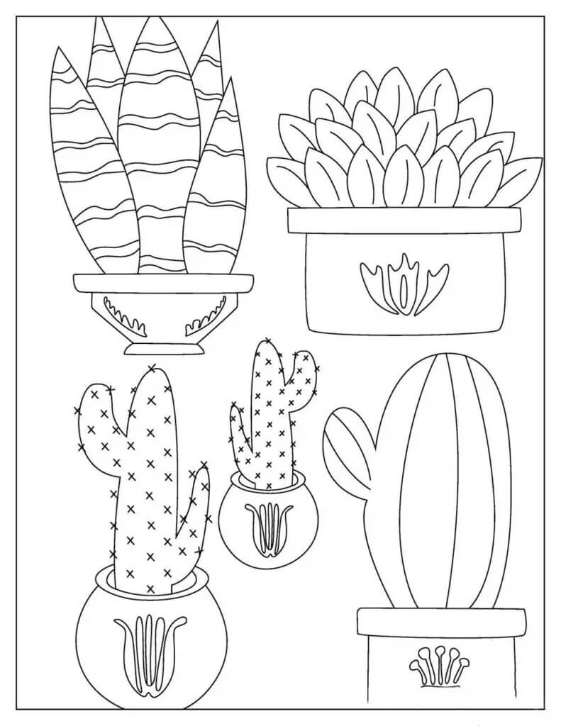 Dibujo de Cinco Cactus En Maceta para Colorear y Imprimir