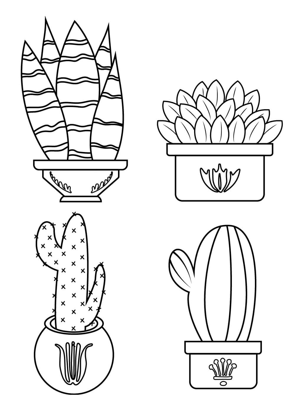 Dibujo de Cuatro Cactus En Maceta para Colorear y Imprimir