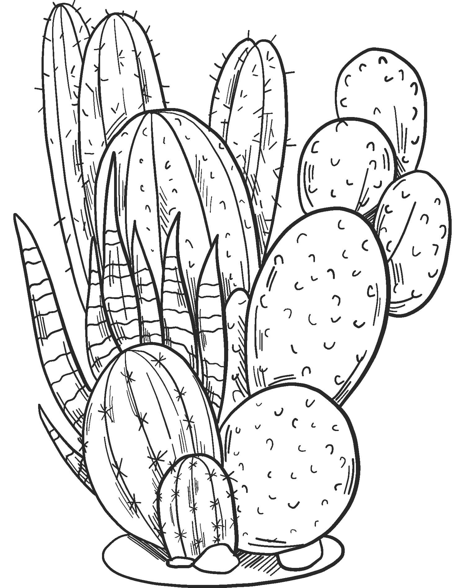Dibujo de Gran Cactus para Colorear y Imprimir