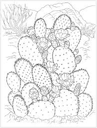 Dibujo de Increíble Cactus para Colorear y Imprimir