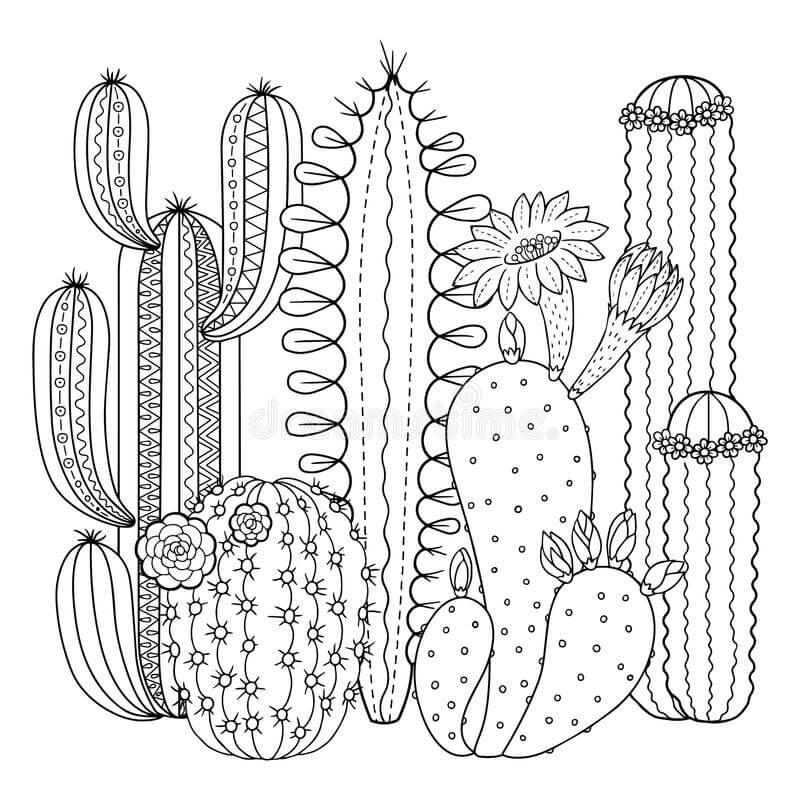 Dibujo de Jardín de Cactus para Colorear y Imprimir