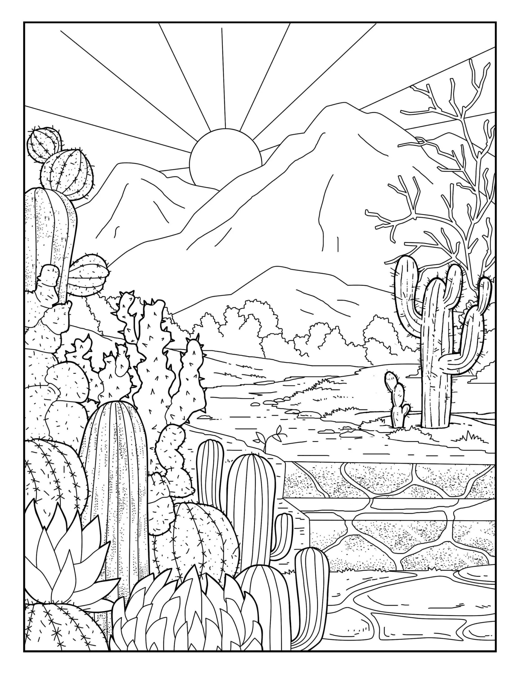 Dibujo de Jardín de Cactus y Sol para Colorear y Imprimir