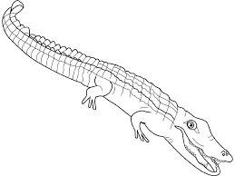 Dibujo de Buen Cocodrilo para Colorear y Imprimir