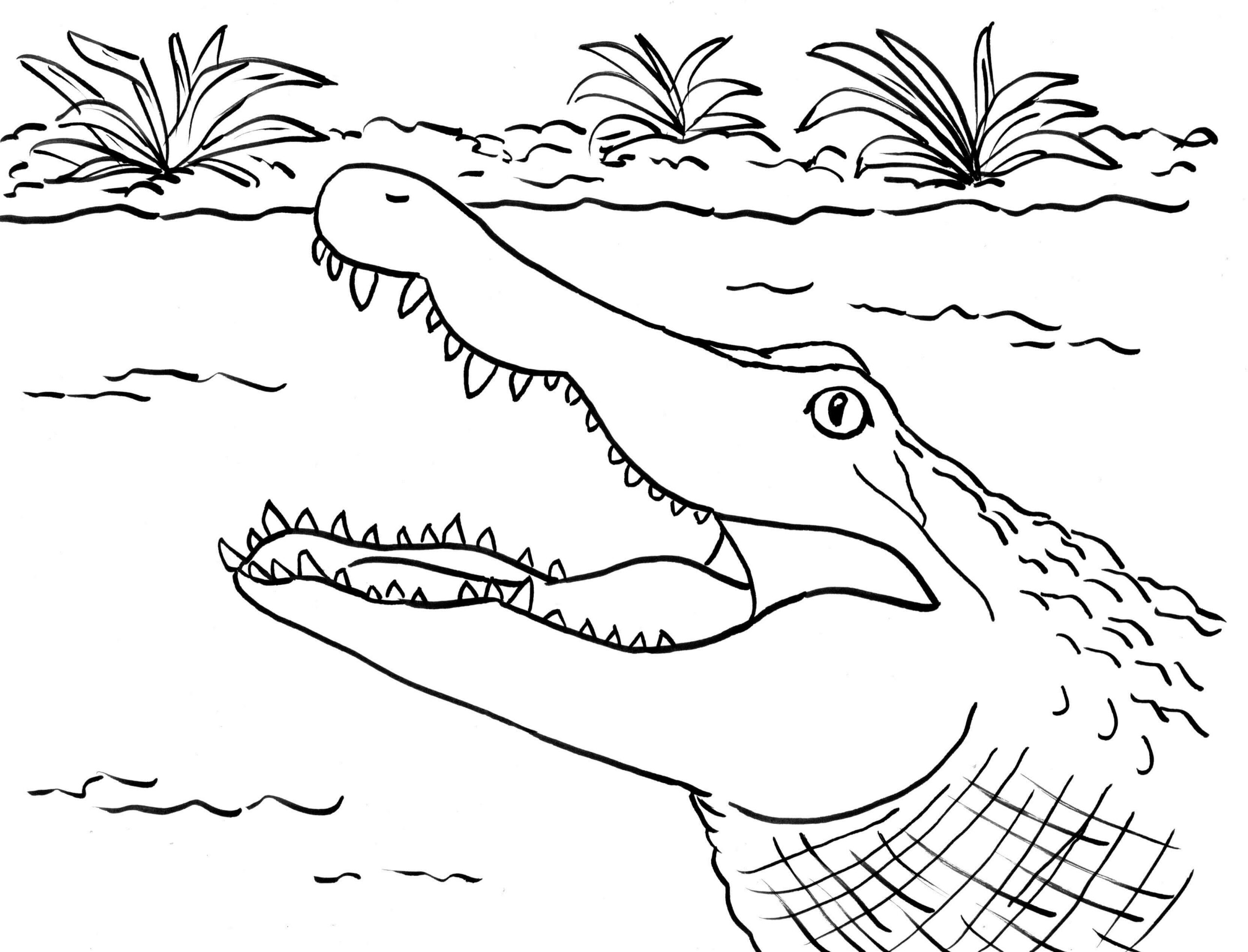 Dibujo de Cara de Cocodrilo Scaled para Colorear y Imprimir