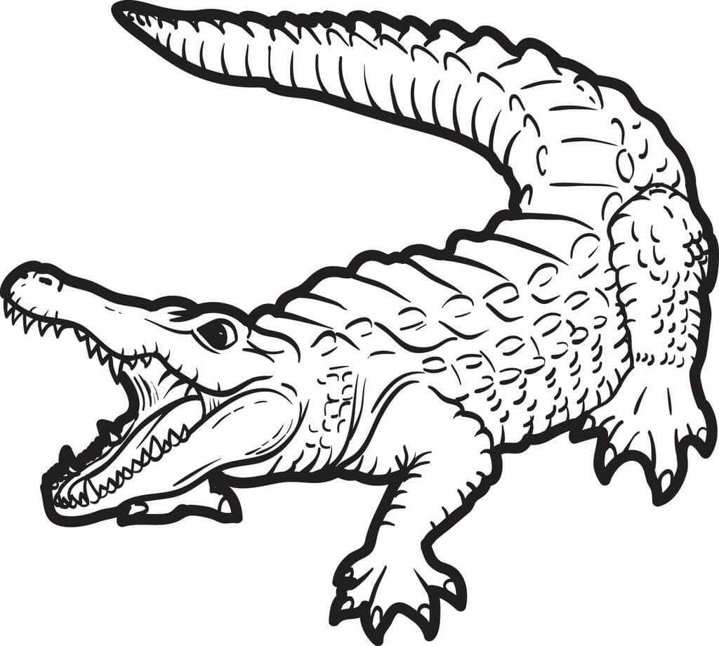 Dibujo de Cocodrilo Aterrador para Colorear y Imprimir