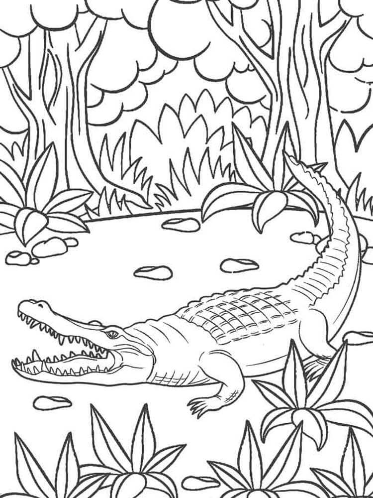 Dibujo de Cocodrilo En La Jungla para Colorear y Imprimir