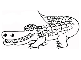 Dibujo de Cocodrilo Estúpido para Colorear y Imprimir
