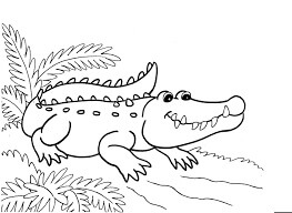 Dibujo de Cocodrilo Normal para Colorear y Imprimir