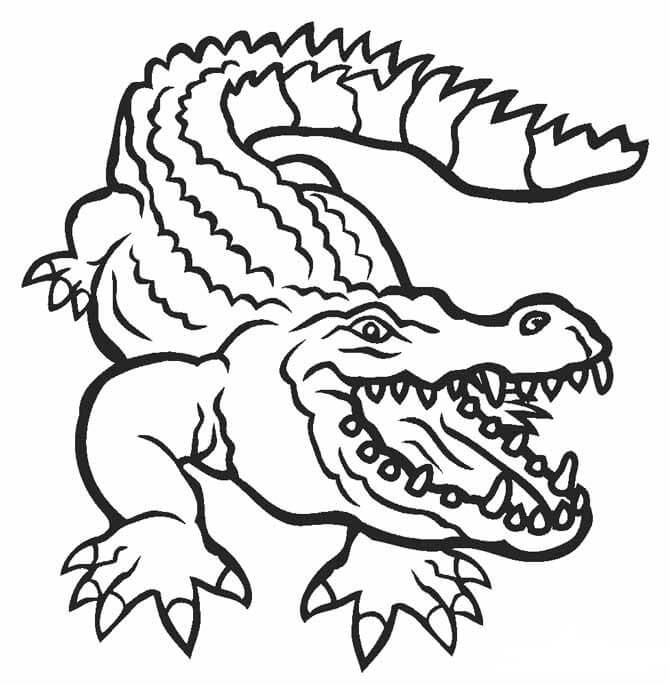 Dibujo de Dibujo de Cocodrilo para Colorear y Imprimir