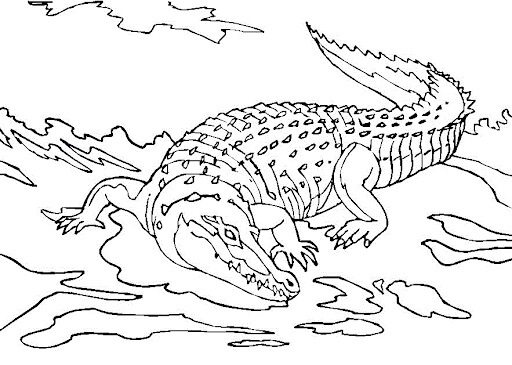 Dibujo de Gran Cocodrilo para Colorear y Imprimir