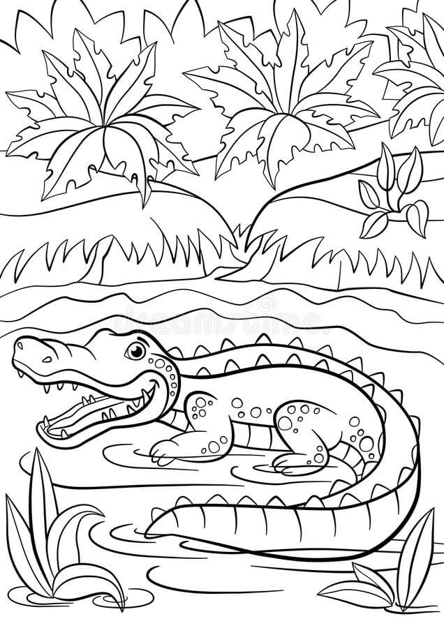 Dibujo de Pequeño Cocodrilo Lindo Sé Sienta En El Lago para Colorear y Imprimir