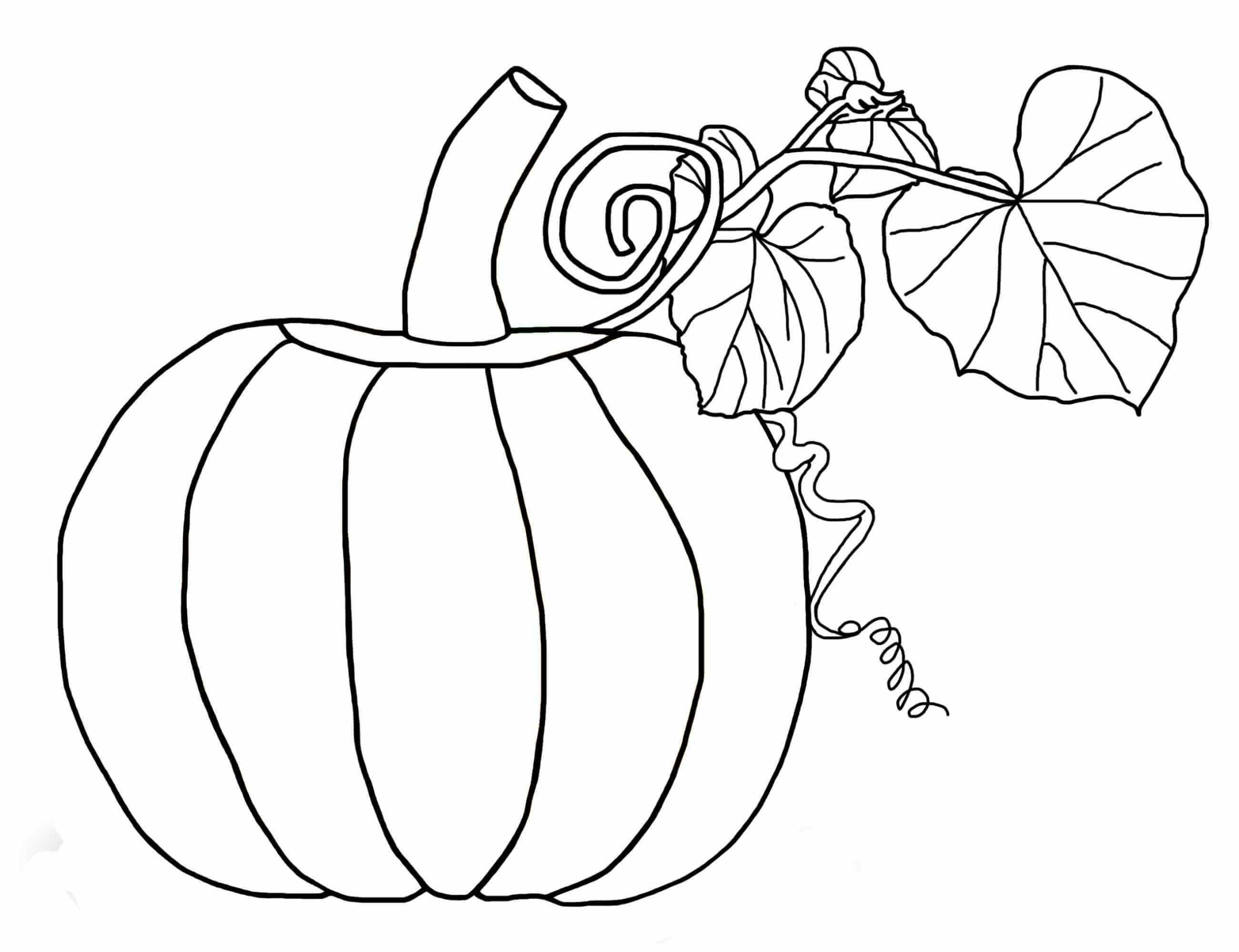 dibujo calabaza con hoja y flores para colorear