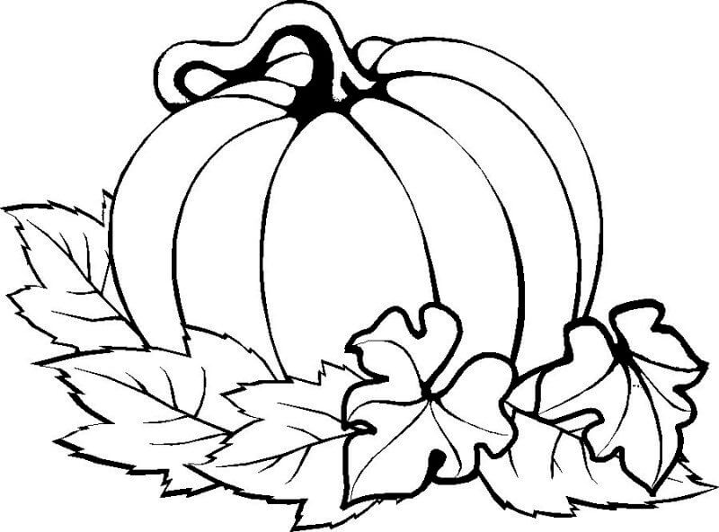 dibujo calabaza de accion de gracias para colorear