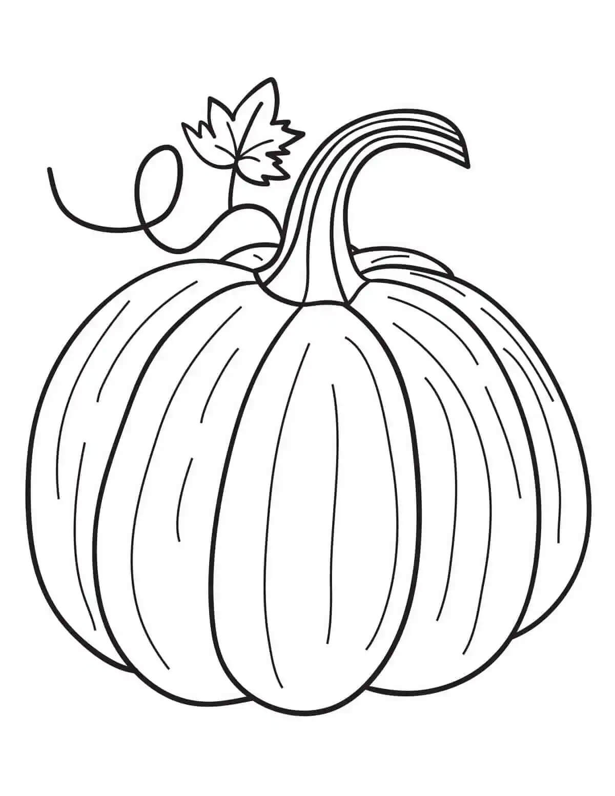 dibujo gran calabaza para colorear