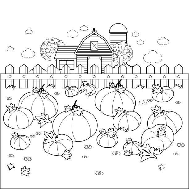 dibujo granja de calabazas para colorear