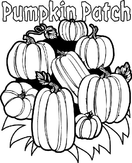 dibujo huerto de calabazas para colorear