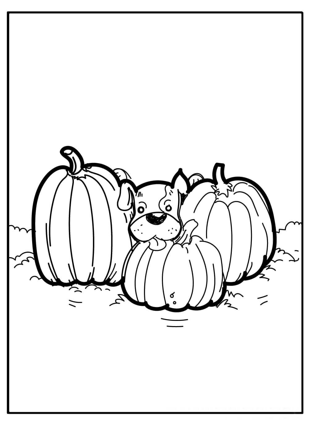 dibujo perro con tres calabazas para colorear