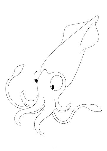 Dibujo de Calamar Dulce para Colorear y Imprimir