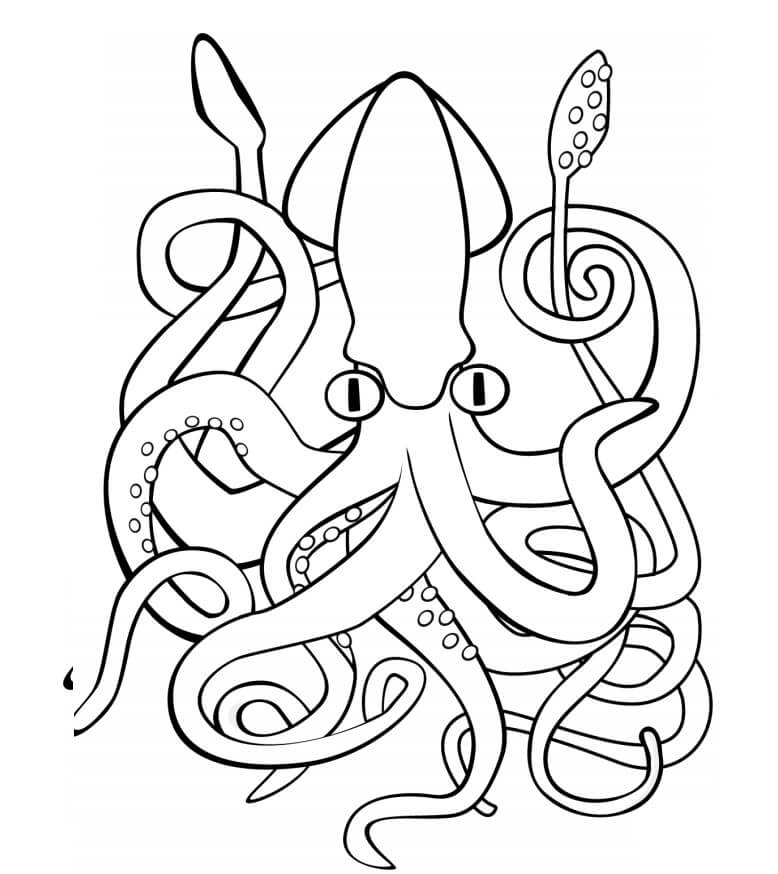 Dibujo de Calamar Gigante para Colorear y Imprimir