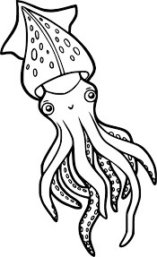 Dibujo de Calamar Perfecto para Colorear y Imprimir